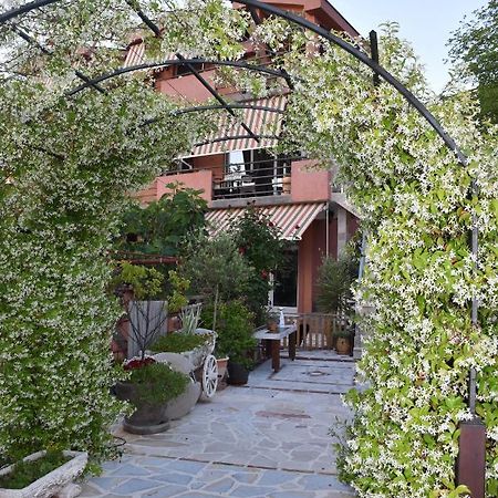 Apartments Scepanovic Tivat Eksteriør billede