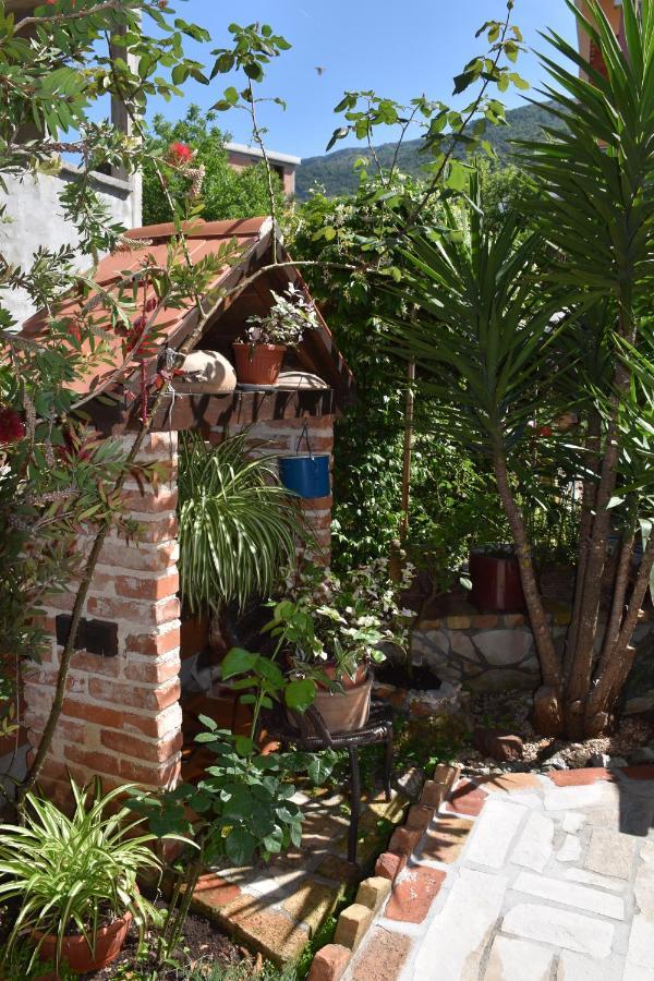 Apartments Scepanovic Tivat Eksteriør billede