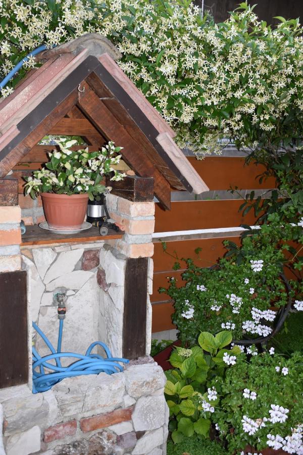 Apartments Scepanovic Tivat Eksteriør billede