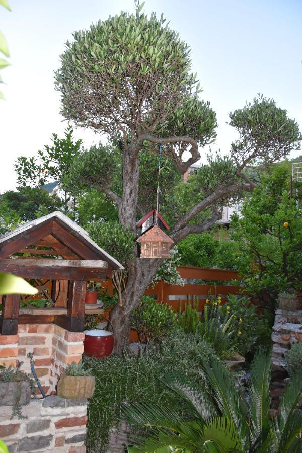 Apartments Scepanovic Tivat Eksteriør billede